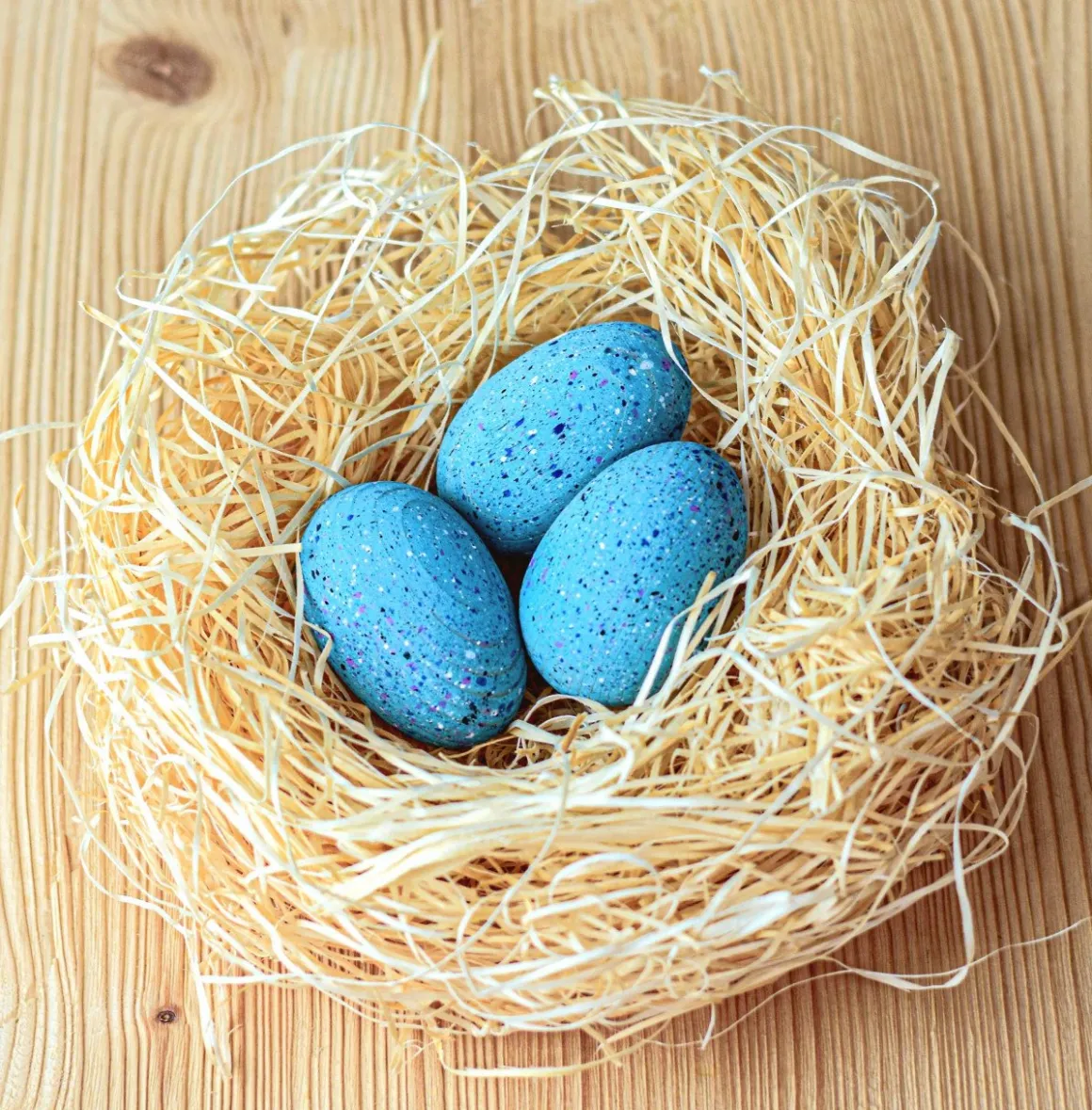 BumbuToys Brontosaurus Eggs SET Best