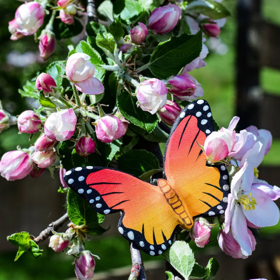 BumbuToys Butterfly New