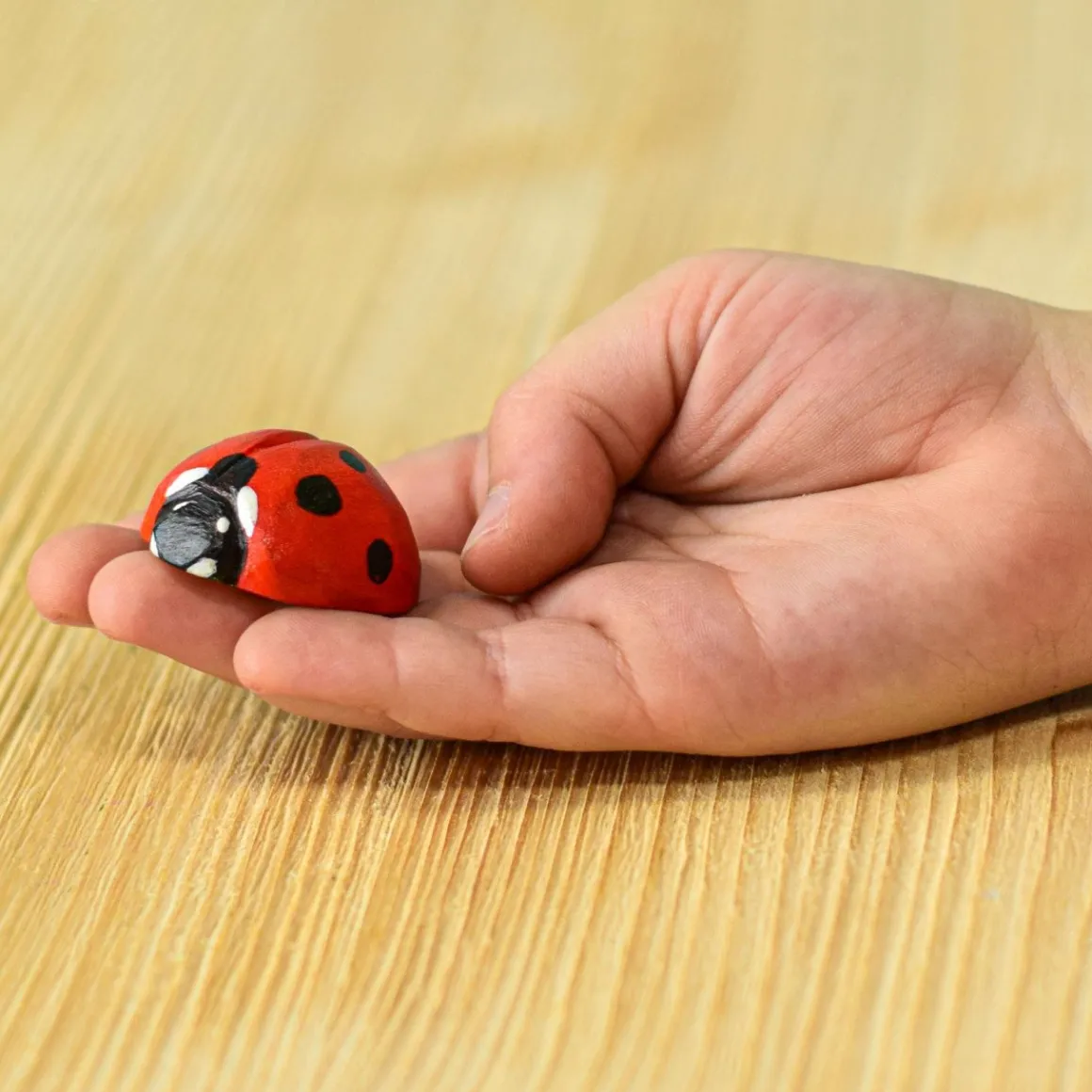 BumbuToys Ladybug Online