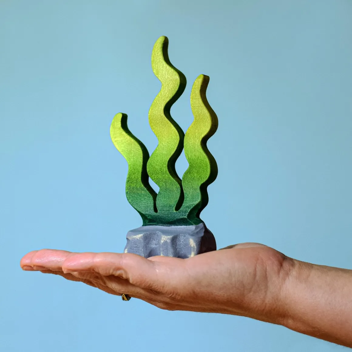 BumbuToys Seaweed Sugar Kelp Online