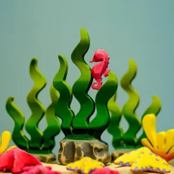 BumbuToys Seaweed Sugar Kelp Online