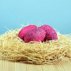 BumbuToys Spinosaurus Eggs SET Discount