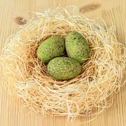 BumbuToys T-Rex Eggs SET Clearance