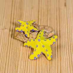BumbuToys Yellow Starfish SET Sale